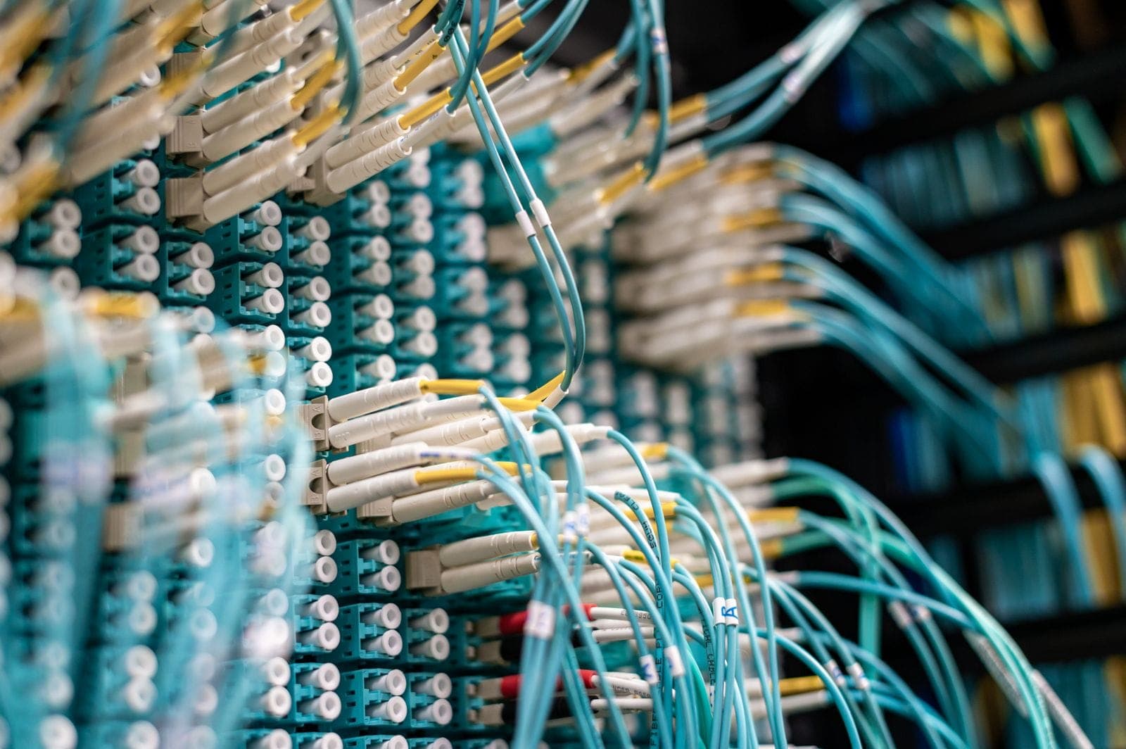Fiber optic patch cables neatly connected to a row of ports on a patch panel